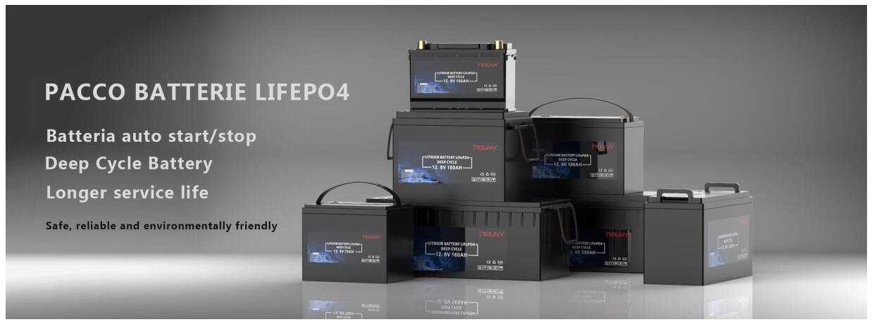 PACCO BATTERIE LIFEPO4